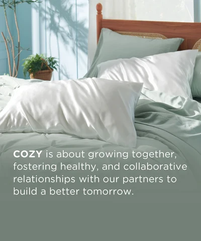 Pillows arranged in a comfortable bedroom